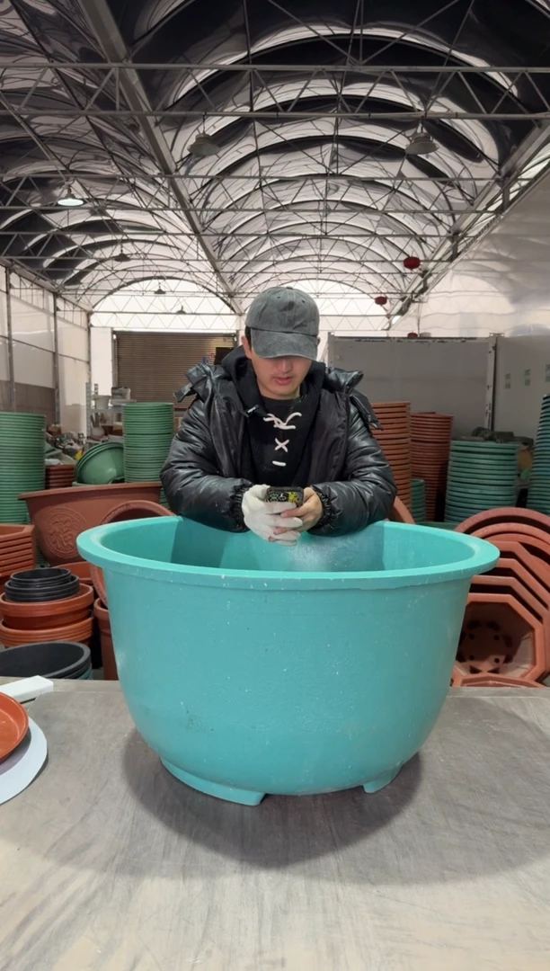 【闪购商品】复合80浅龙盆2个 有孔