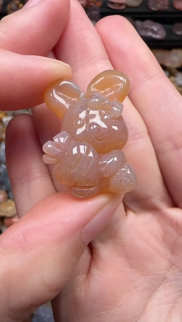 颈饰未镶嵌硅化珊瑚（珊瑚玉）823