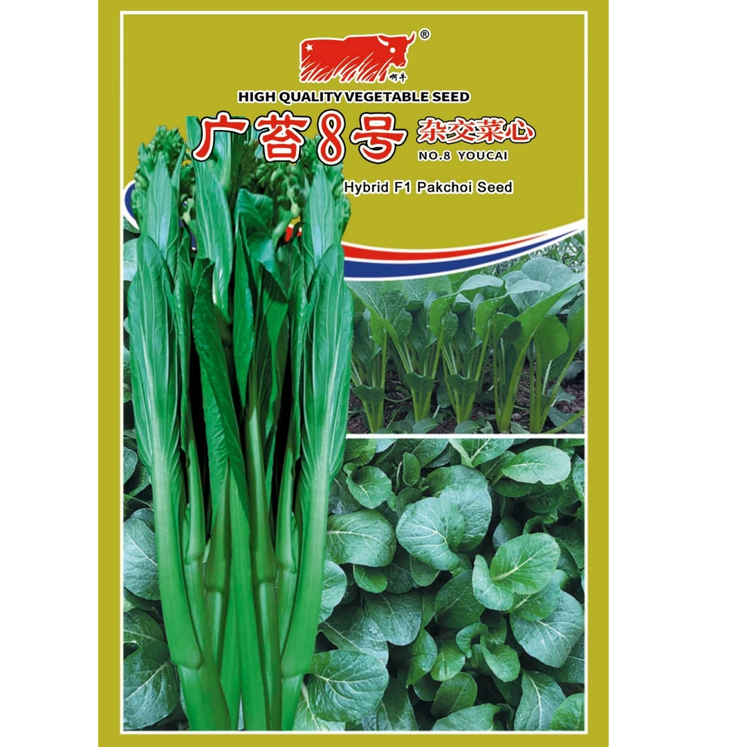 广苔8号杂交菜苔蔬菜种子