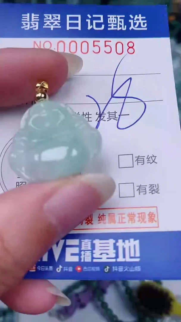 翡翠未镶嵌颈饰00005508