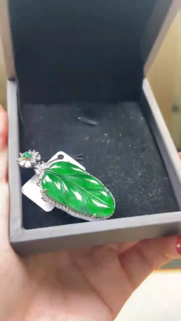 【闪购商品】翡翠颈饰未镶嵌      *195