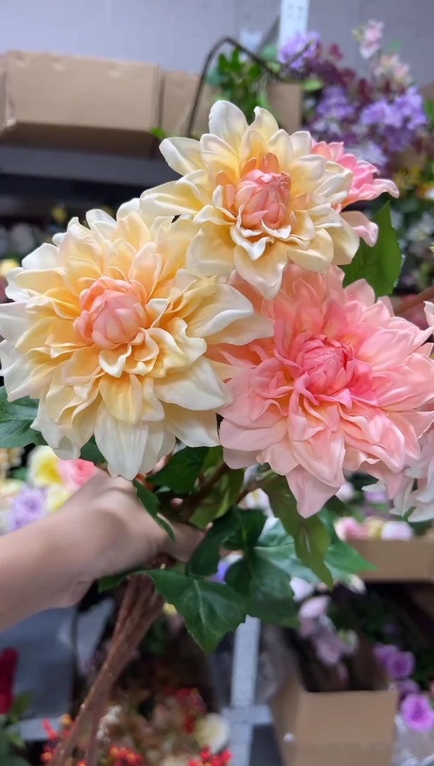3枝混色手感保湿大丽花