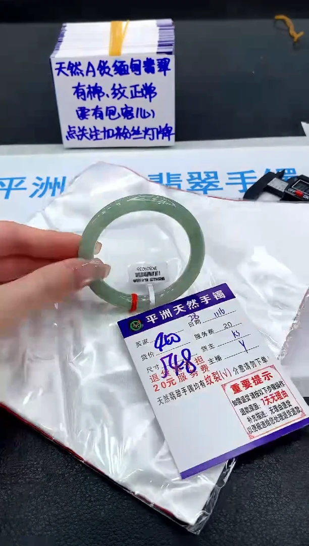 未镶嵌手镯翡翠11111
