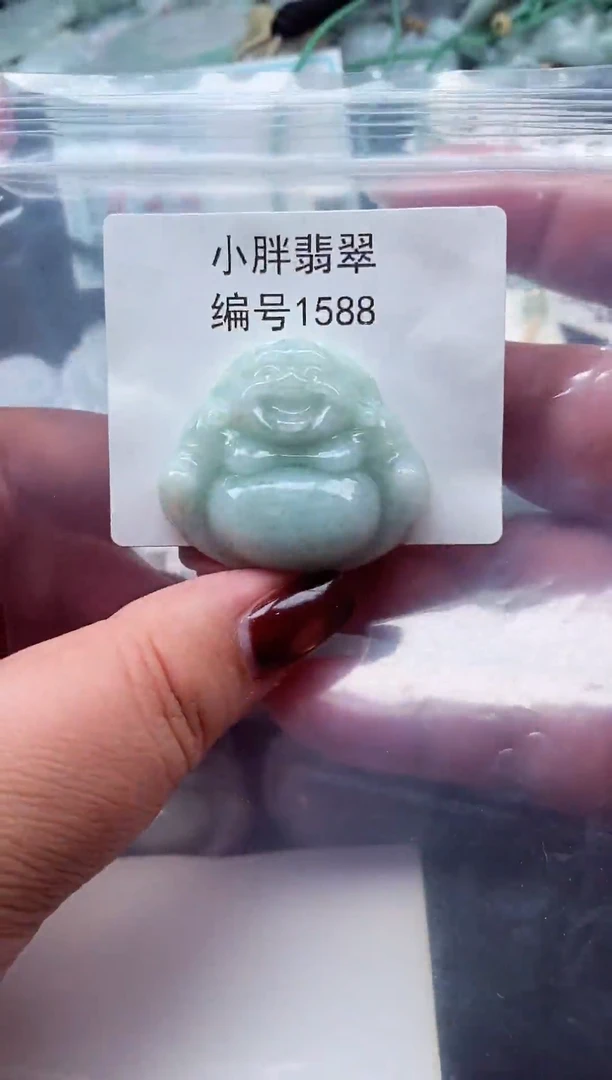 颈饰未镶嵌翡翠缅甸天然A货翡翠1588