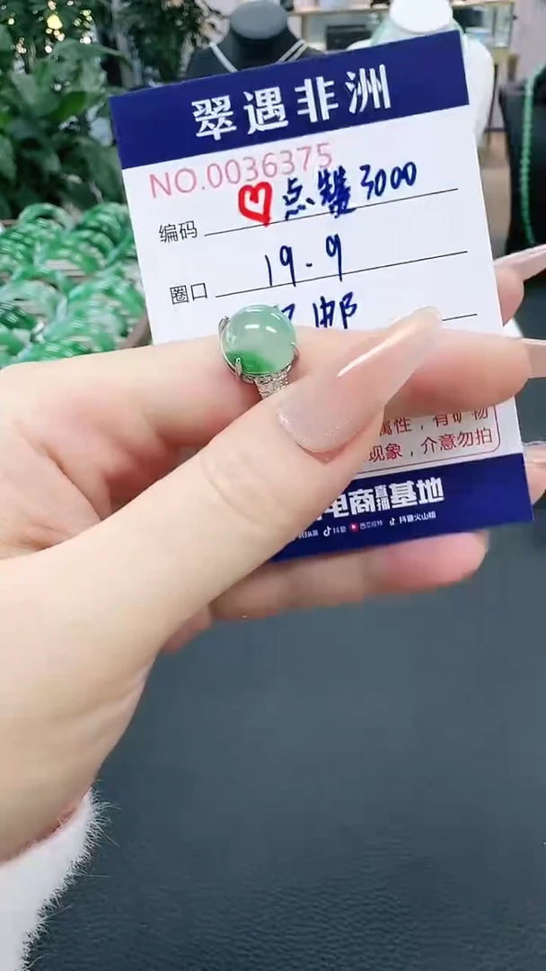 未镶嵌1石英质玉（非洲翠）C****a/6375