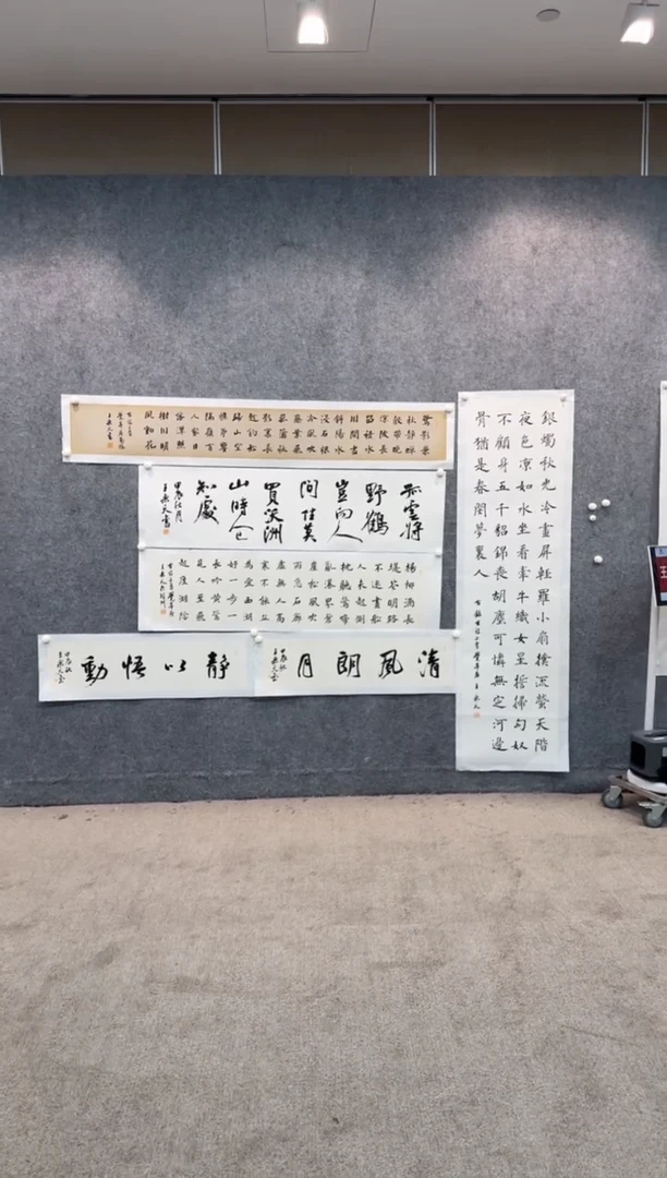 【闪购商品】书法sf不二轩书法作品wlt03