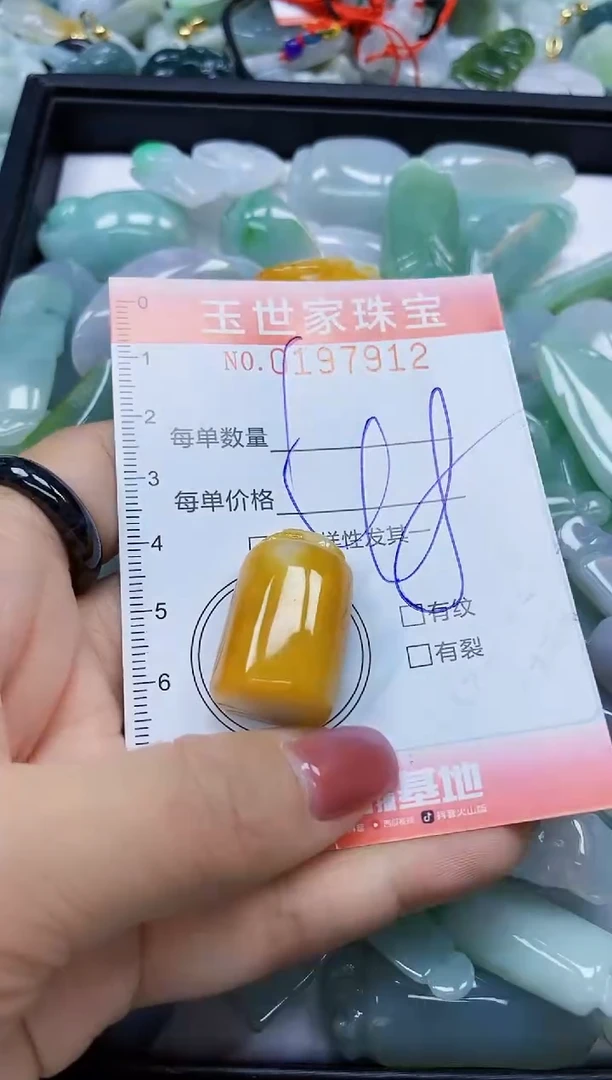 【闪购商品】翡翠颈饰未镶嵌闪购0197912