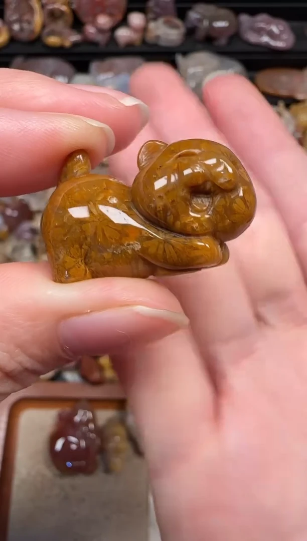 颈饰未镶嵌硅化珊瑚（珊瑚玉）185