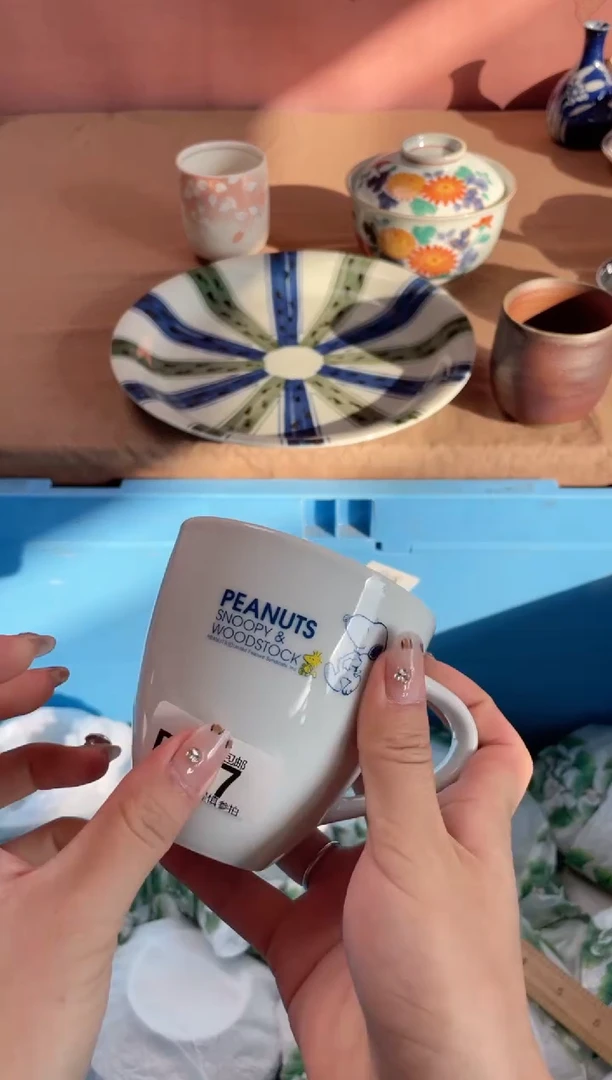 瓷片X*t瓷器瓷器B617
