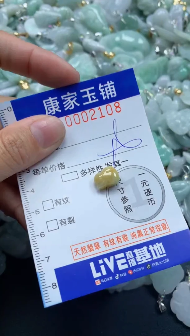 颈饰未镶嵌翡翠2108