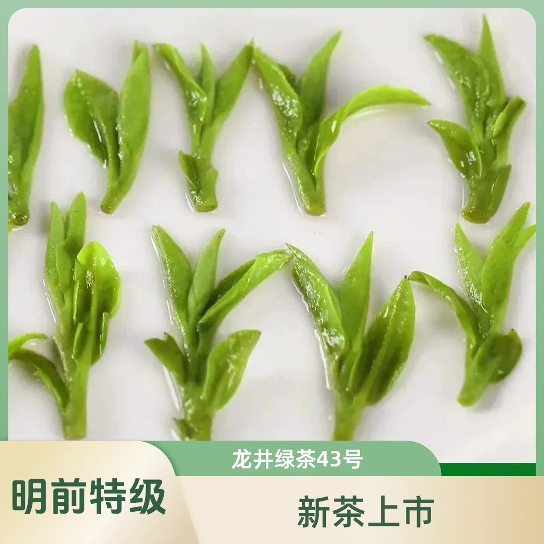 龙井绿茶43号明前2025新茶正宗特级高档茶叶罐装袋装豆香浓郁耐泡