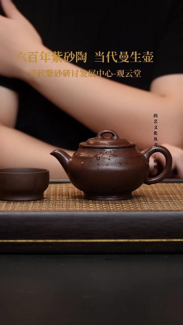 茶壶紫砂紫砂茶壶  黑星土 律韵