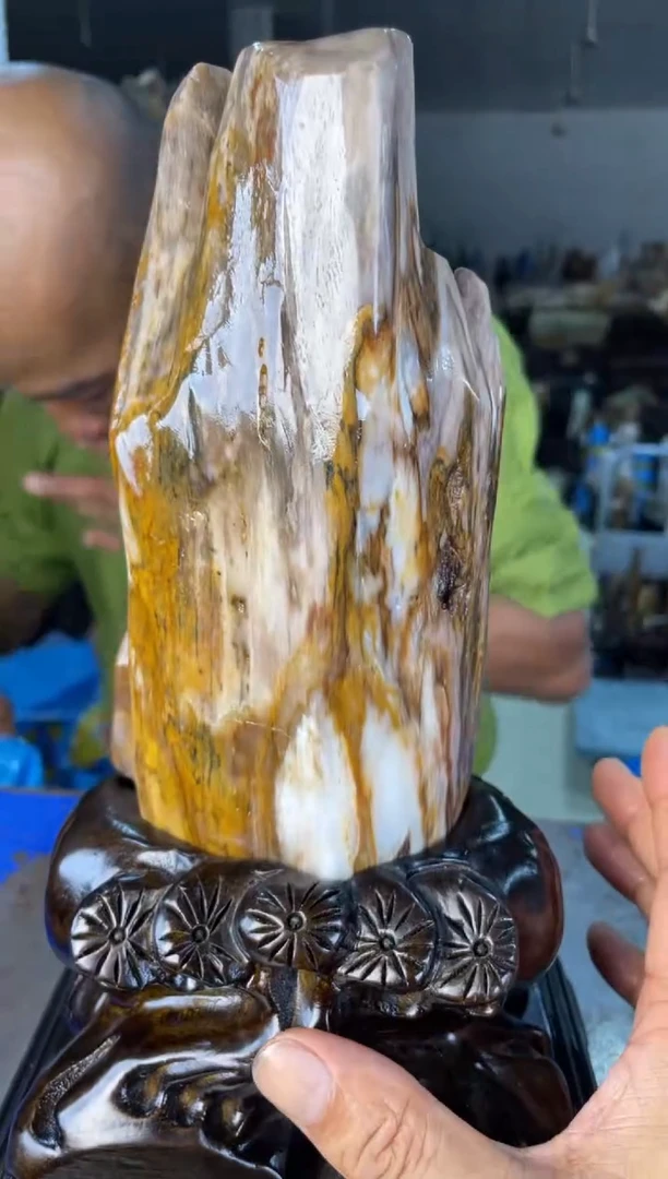 未镶嵌摆件硅化玉28