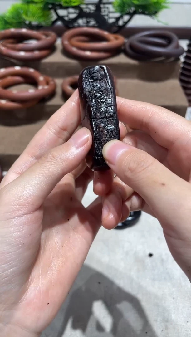 枣木36号原木包邮到家