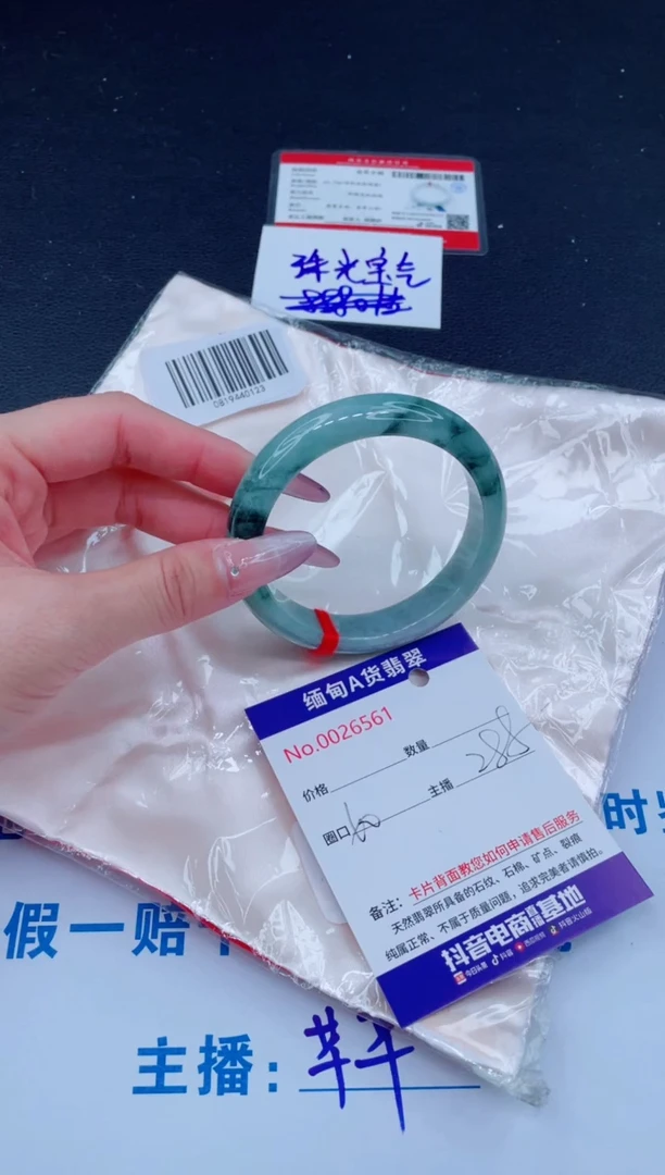 未镶嵌手镯翡翠1