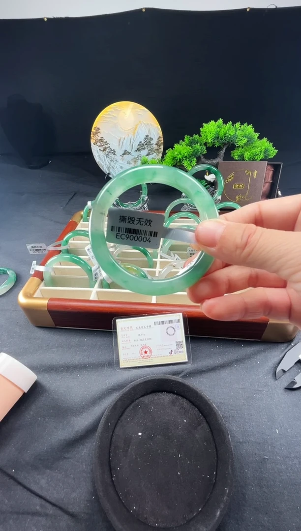 未镶嵌手镯石英质玉（非洲翠）真品上等纯天然非洲翠玉手镯石英质玉