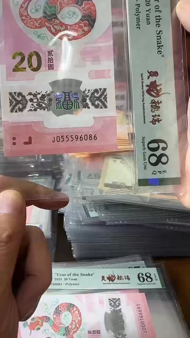 塑料055596086-蛇钞单张