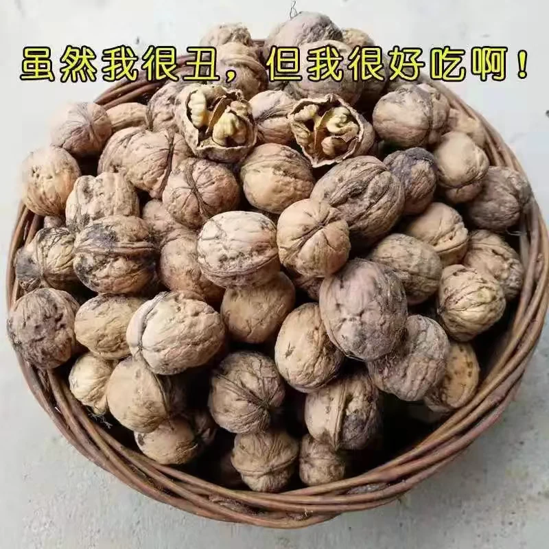 陕西秦岭大山今年新山核桃老品种油香核桃老树薄皮核桃装原味核桃