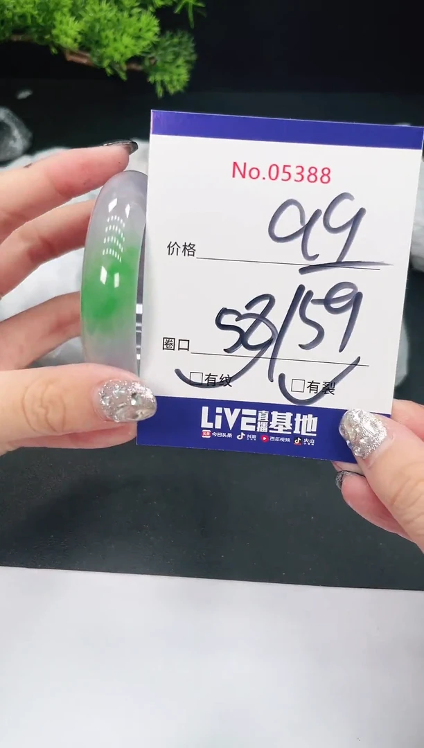 未镶嵌手镯翡翠05388