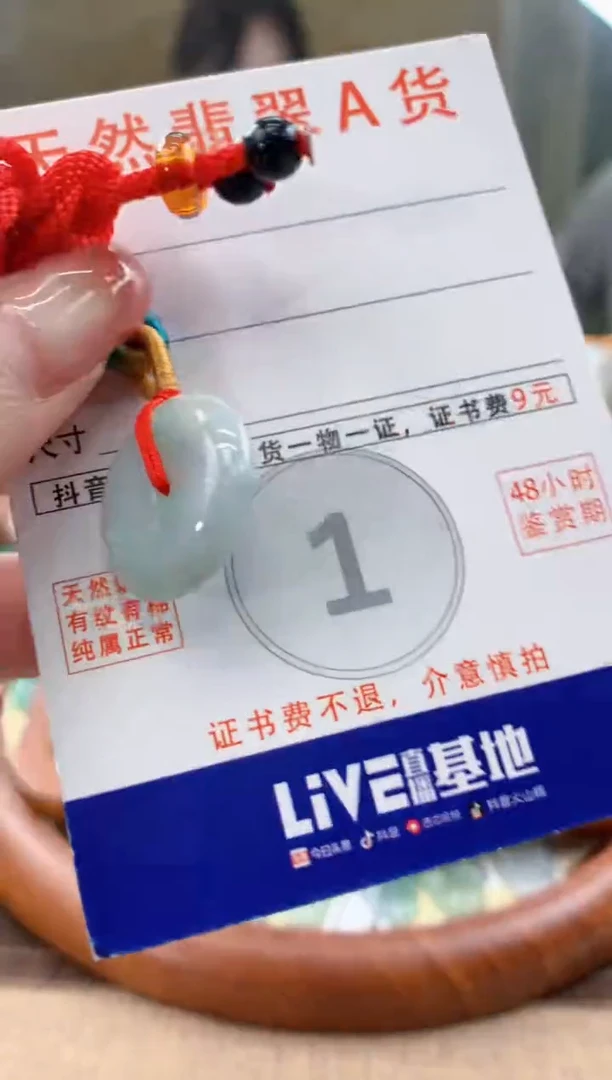 颈饰未镶嵌翡翠天然A货翡翠挂件