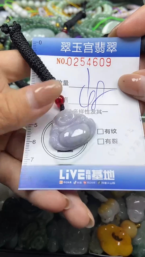 颈饰未镶嵌翡翠闪购C0254609
