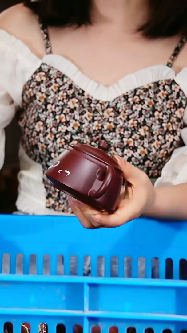 宜兴原矿紫砂壶茶壶200C