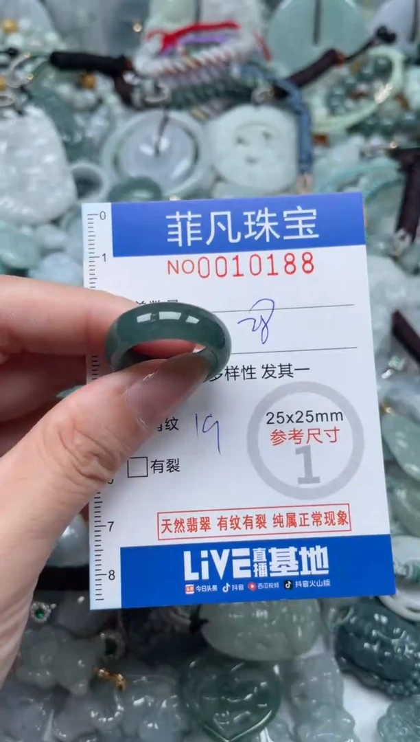 翡翠未镶嵌颈饰10188