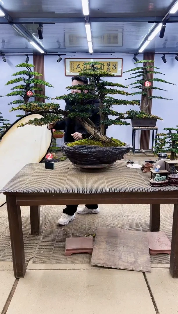 【闪购商品】0000000