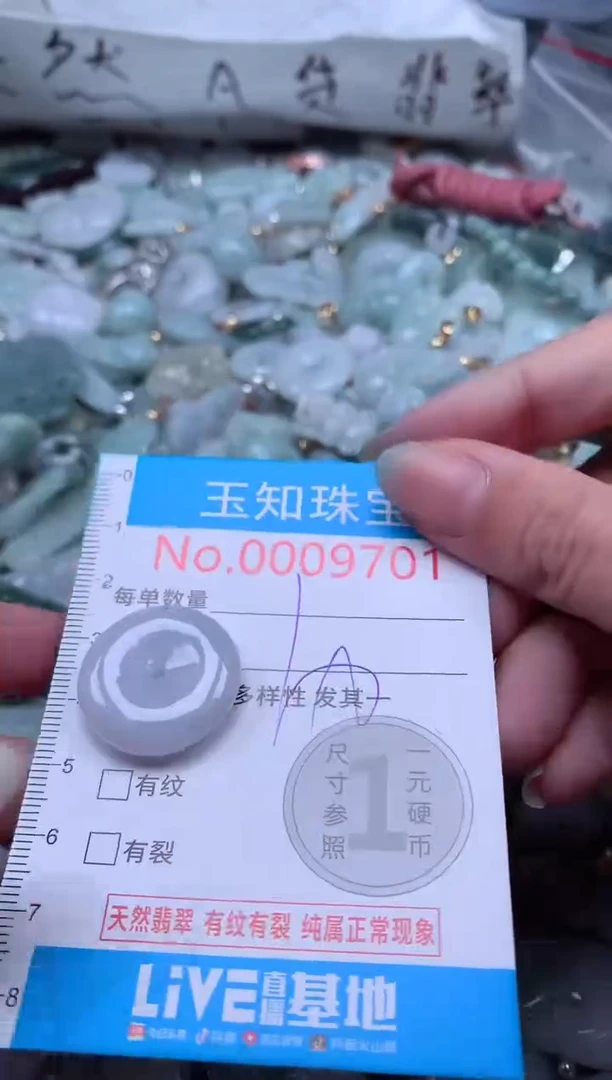 翡翠未镶嵌吊坠(不含链)9701