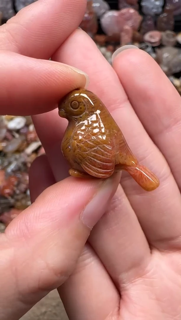 颈饰未镶嵌硅化珊瑚（珊瑚玉）403