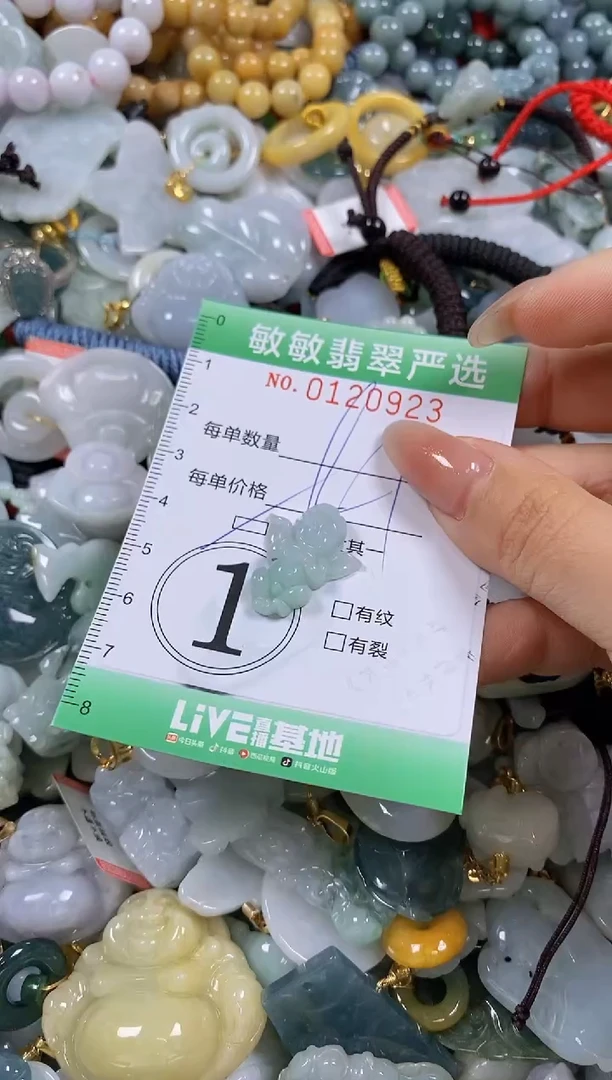 【闪购商品】翡翠颈饰未镶嵌闪购0120923多样性发其一