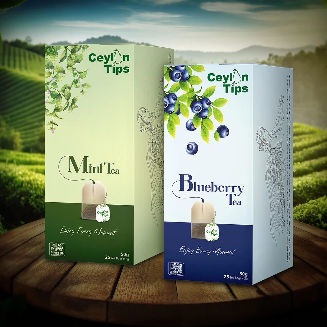 【锡兰甄选】斯里兰卡进口锡兰红茶蓝莓+薄荷口味袋泡茶50g*2