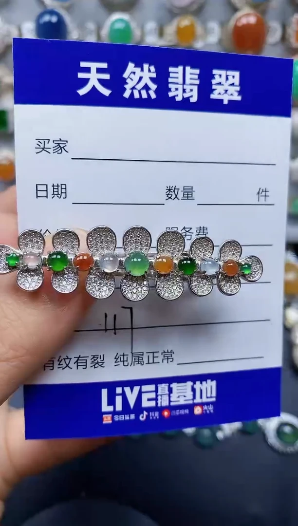 翡翠银S925镶嵌颈饰0117