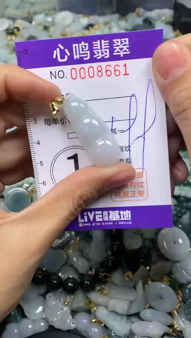 【闪购商品】翡翠颈饰未镶嵌闪购008661