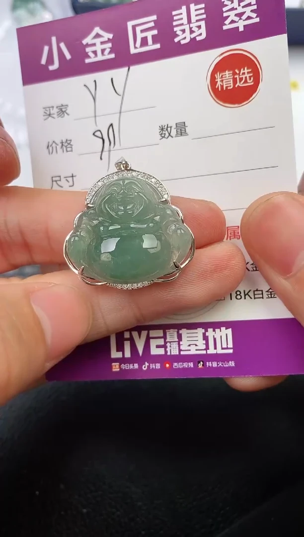翡翠银S925镶嵌颈饰燕*·