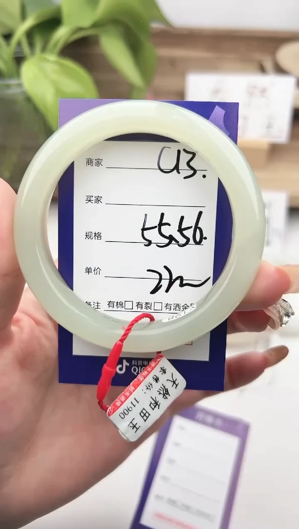 未镶嵌手镯和田玉微色差C13