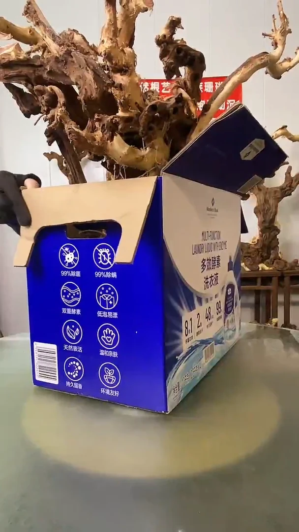 木关**房金丝红木  羊蹄甲