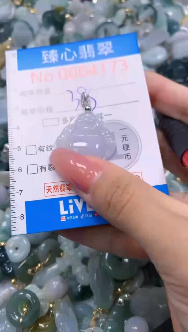 翡翠未镶嵌颈饰4173