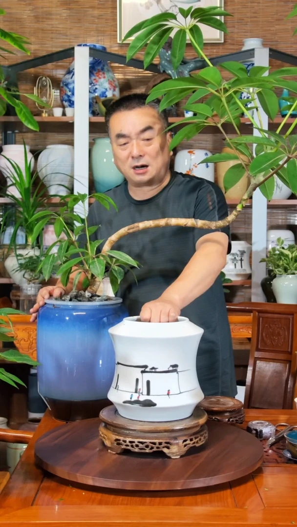 无花朵德***姐水之韵水培瓷器瓶