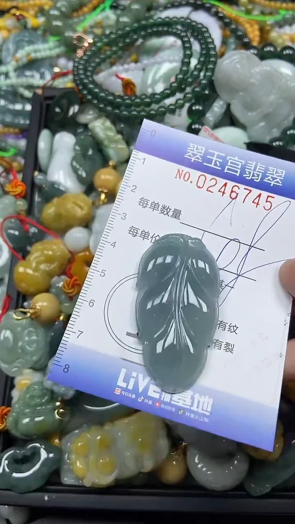 颈饰未镶嵌翡翠闪购C0246745
