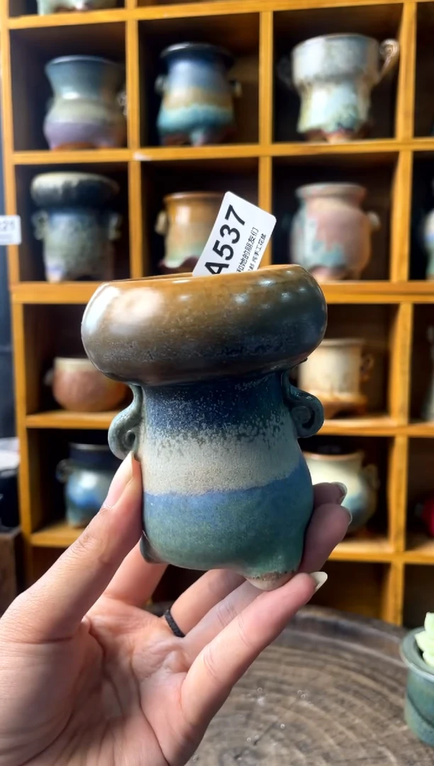 537【多肉花盆多肉盆】