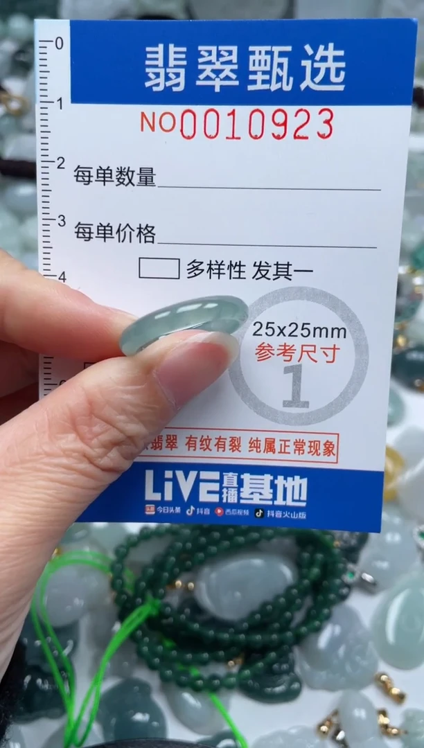 颈饰未镶嵌翡翠10923