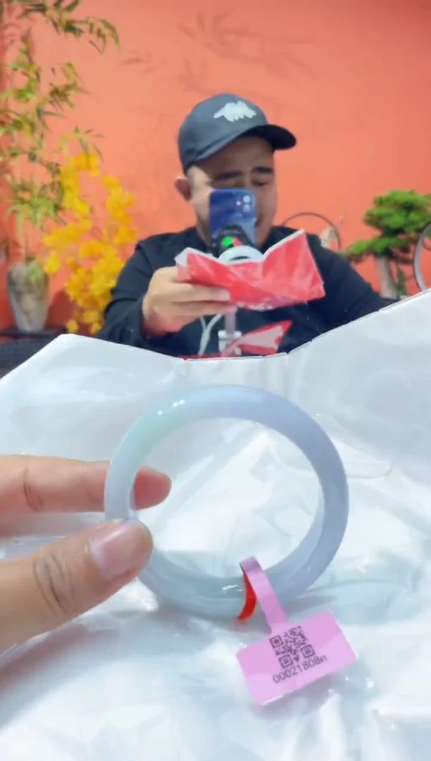 未镶嵌手镯翡翠6