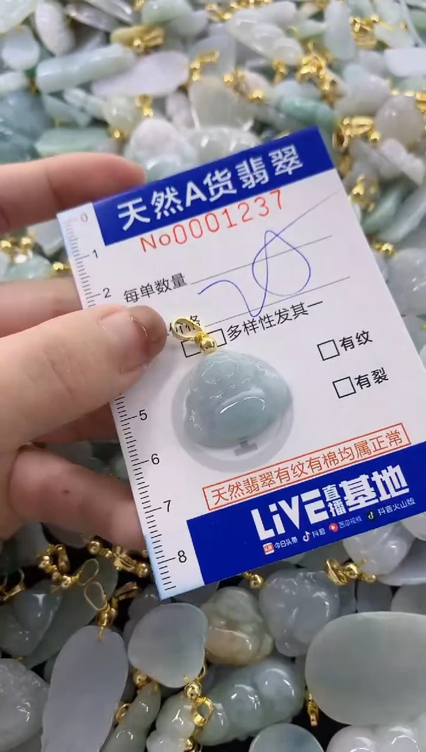 颈饰未镶嵌翡翠天然A货翡翠