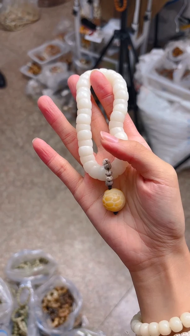 吊坠菩提根/象牙果白色大肠 富甲