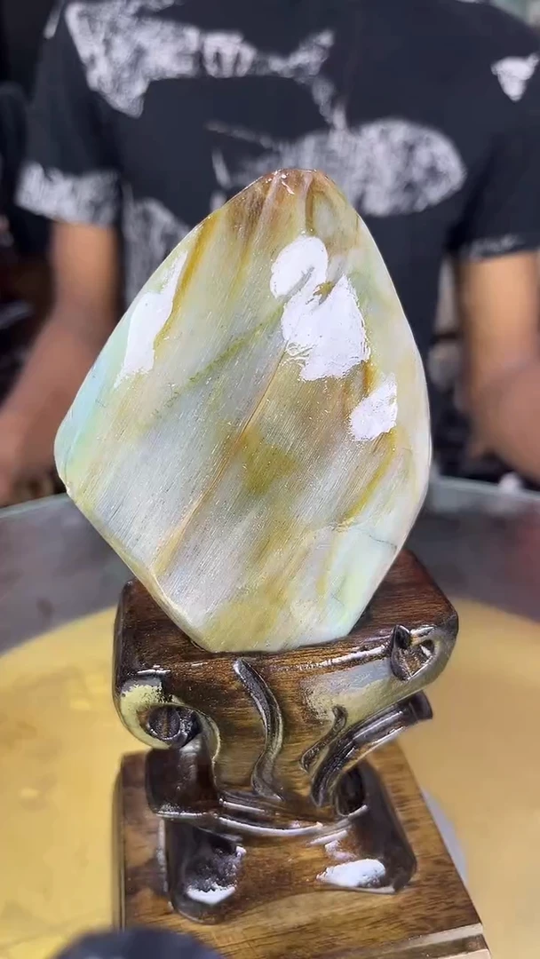未镶嵌珠宝奇石硅化玉缅甸天然树化玉摆件