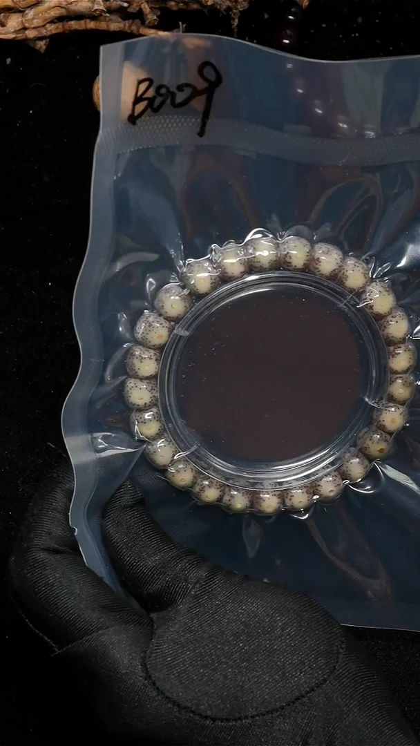 手串星月菩提B009黄金大眼-9*8尺寸