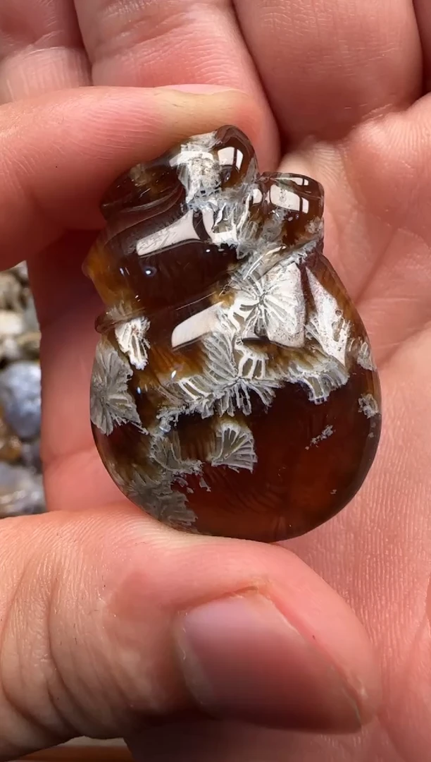 【闪购商品】硅化珊瑚（珊瑚玉）颈饰未镶嵌155