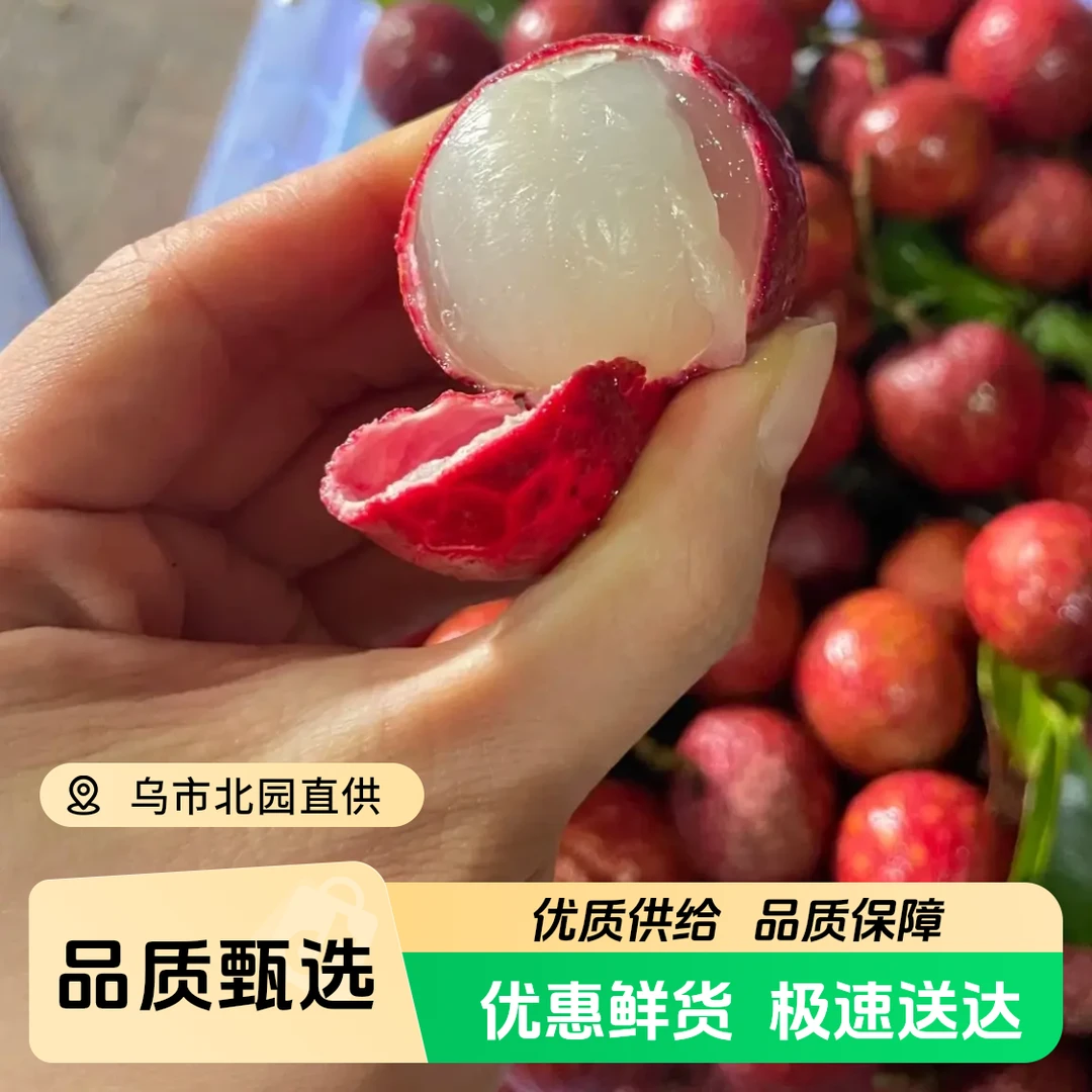 【富贵专属次日达】红花荔枝口感甜润顺丰包邮荔枝同城送