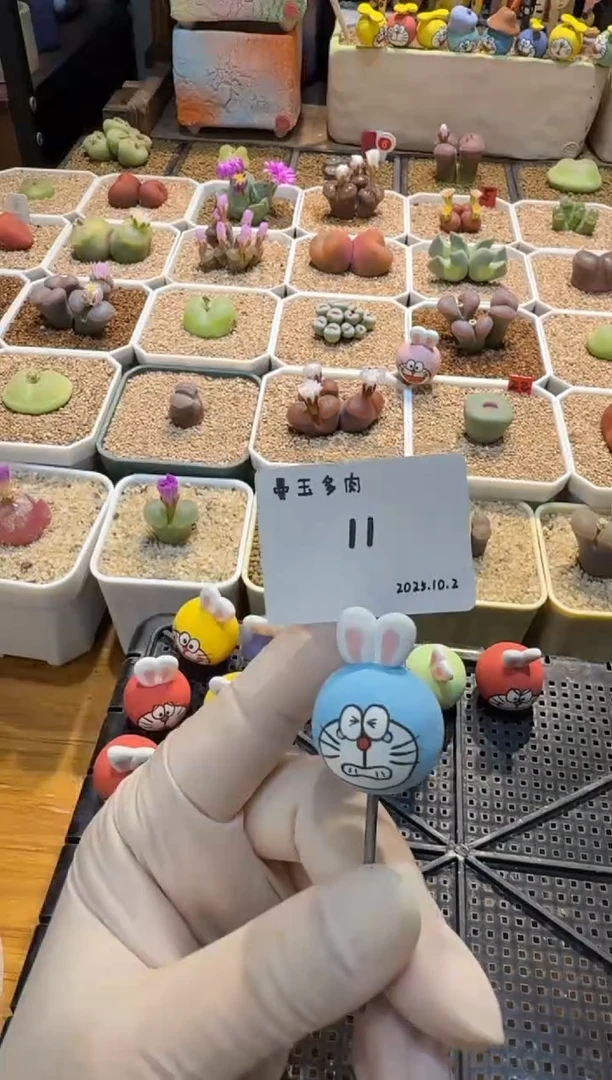 雪***?25.10.2-11雪静儿